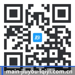 系统版 iOS 二维码